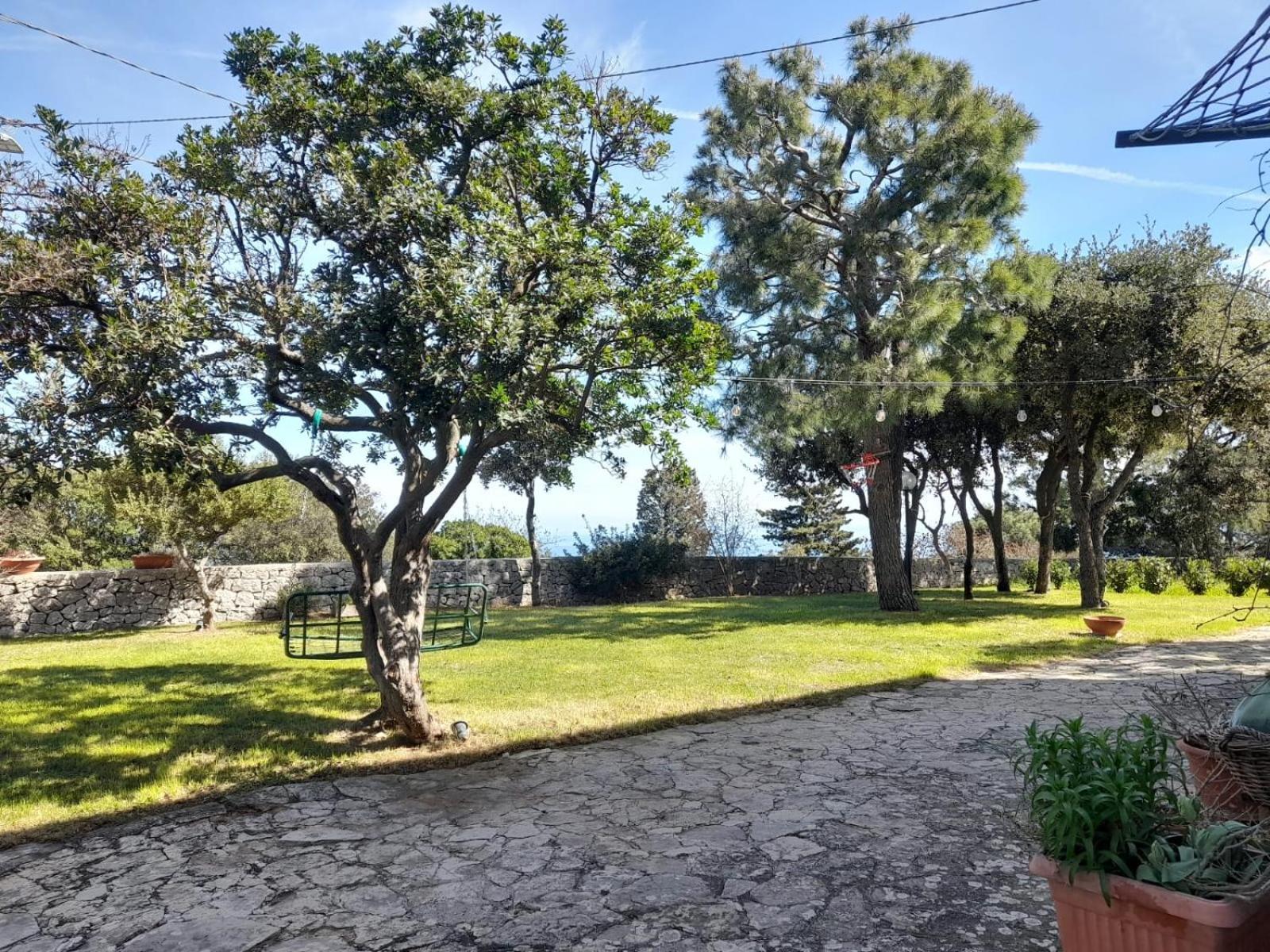 Casa Gio' Gio' Apartment Selva Di Fasano